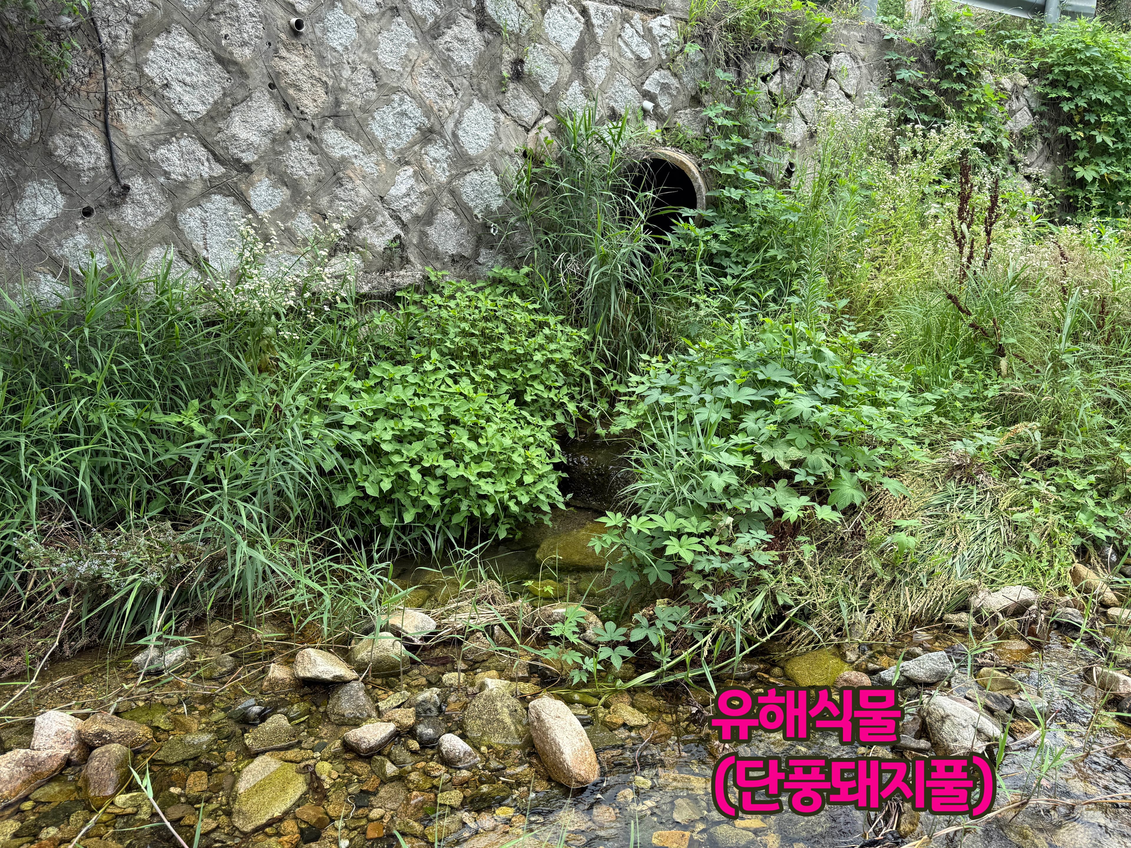 Gallery image 10