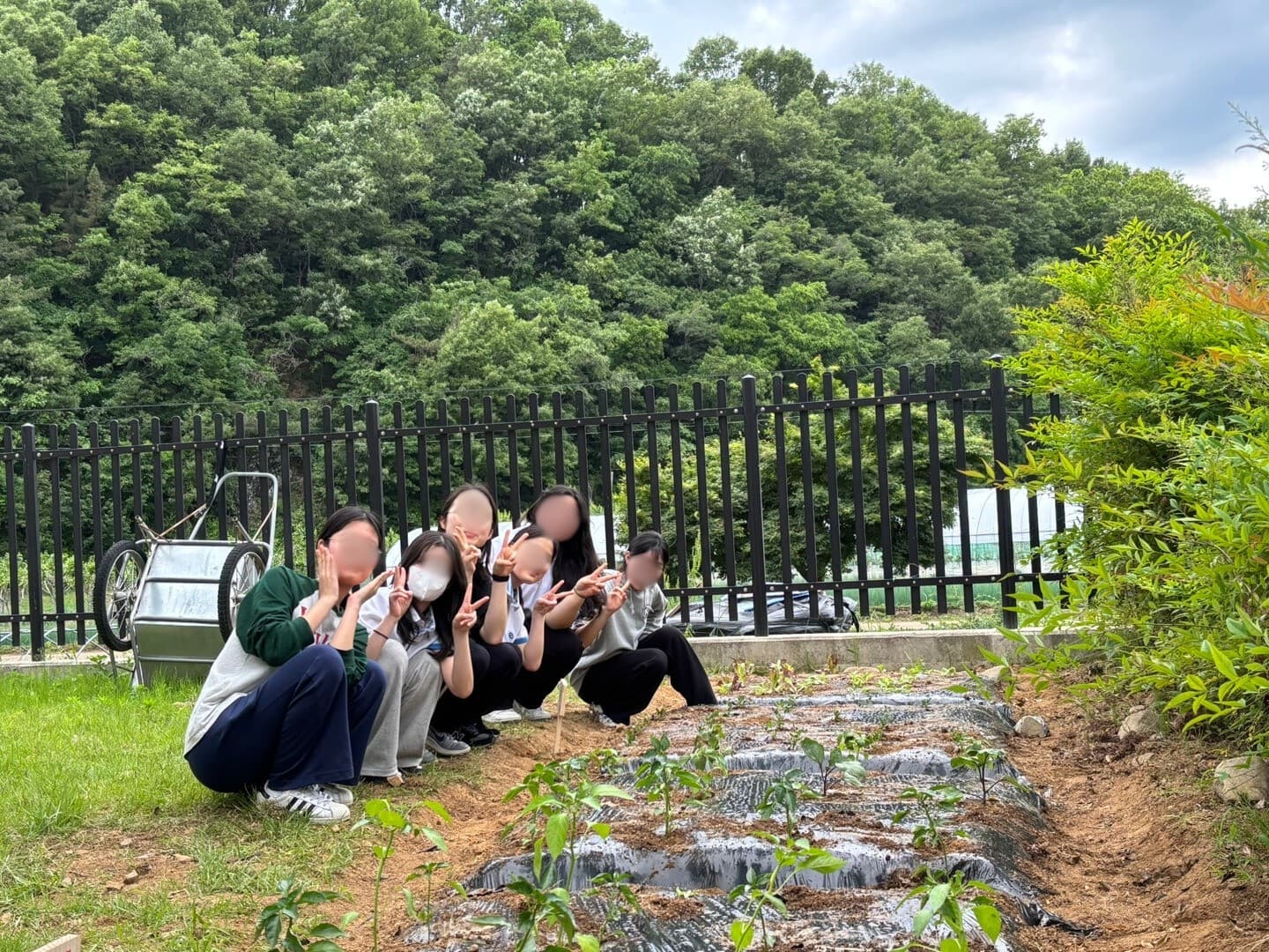 대구-북구-도남천-14 이미지