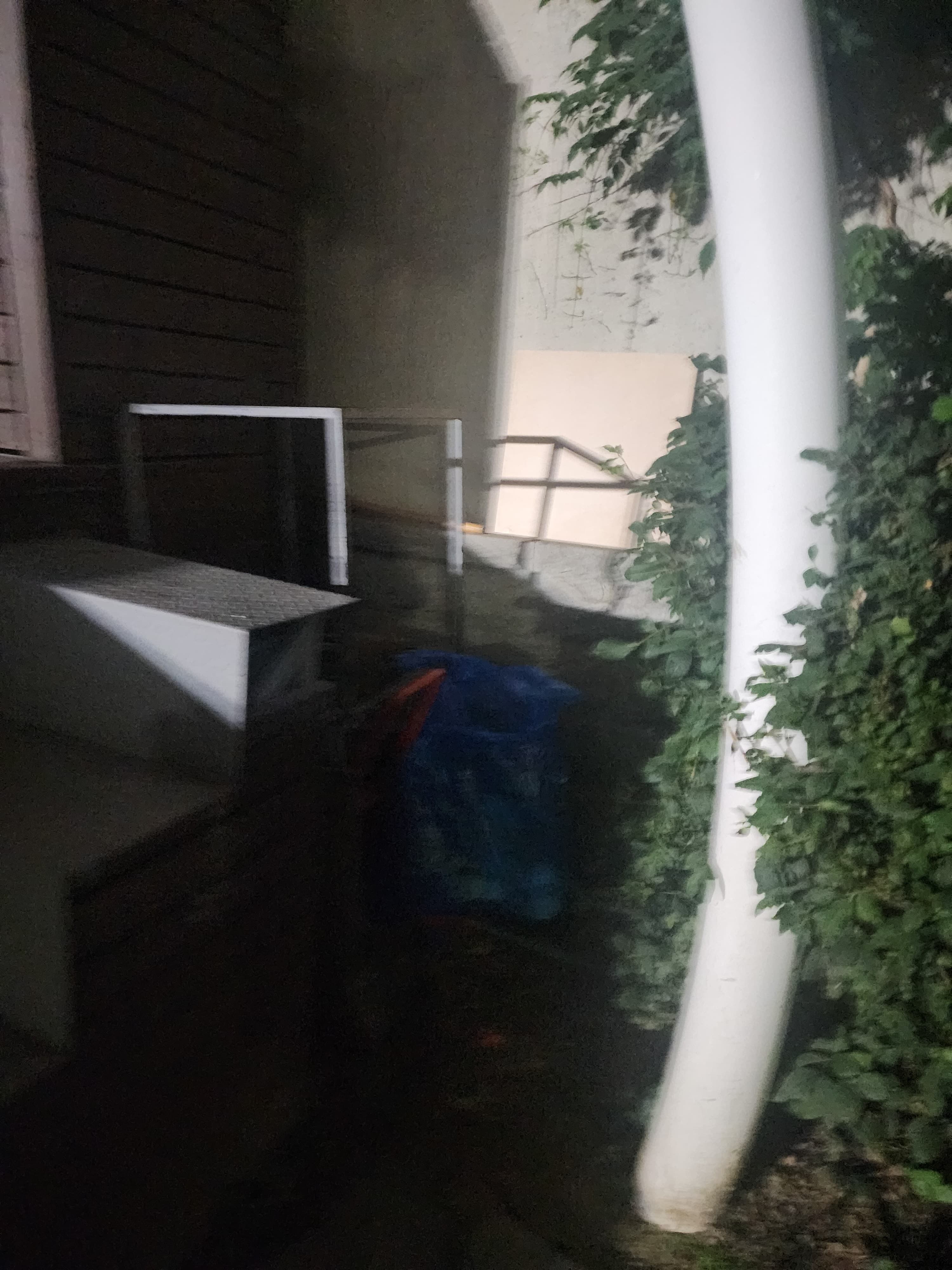 Gallery image 10