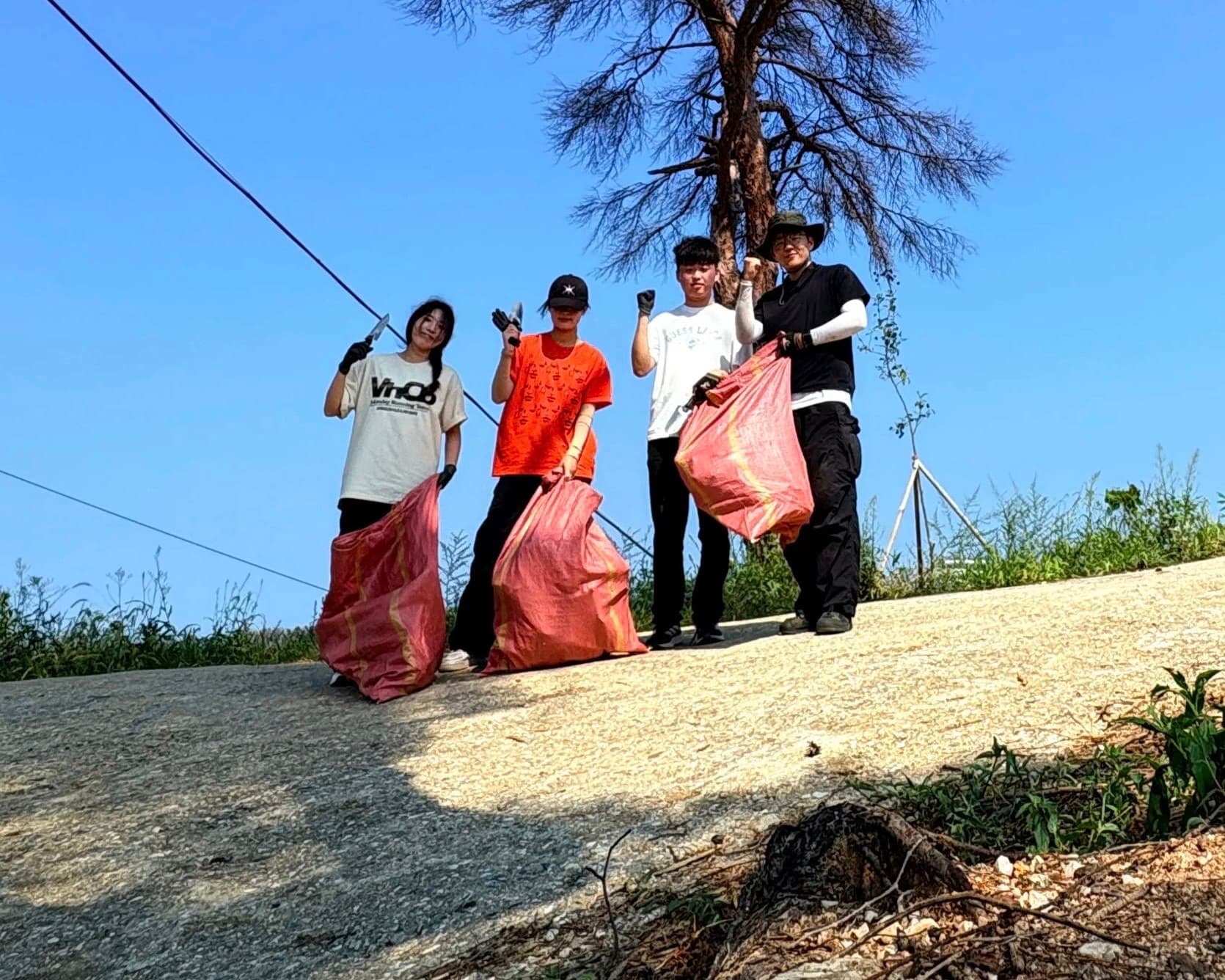 강릉-경포-저동-산불지-11 이미지