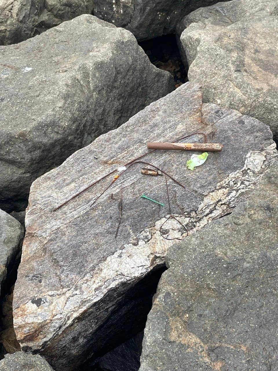 Gallery image 10