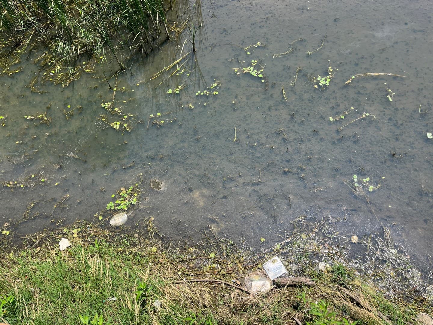 Gallery image 11