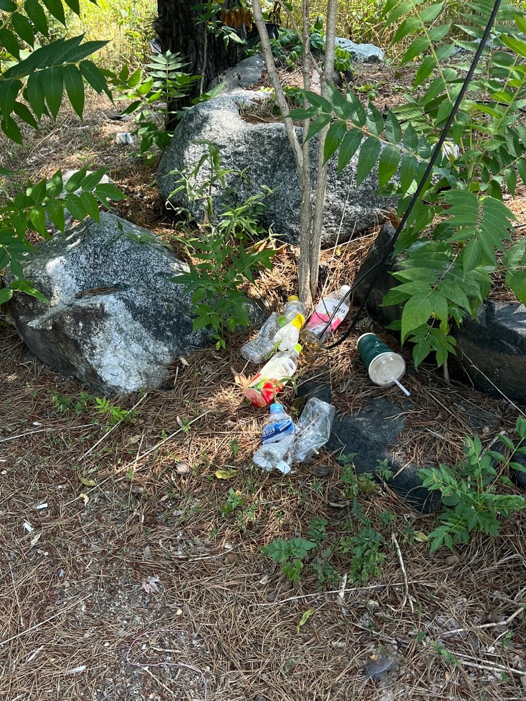 Gallery image 12